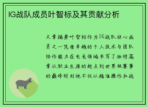 IG战队成员叶智标及其贡献分析