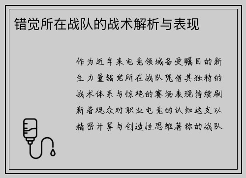 错觉所在战队的战术解析与表现